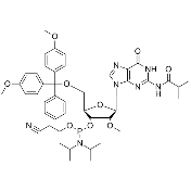 2'-OMe-ibu-G 亚磷酰胺单体